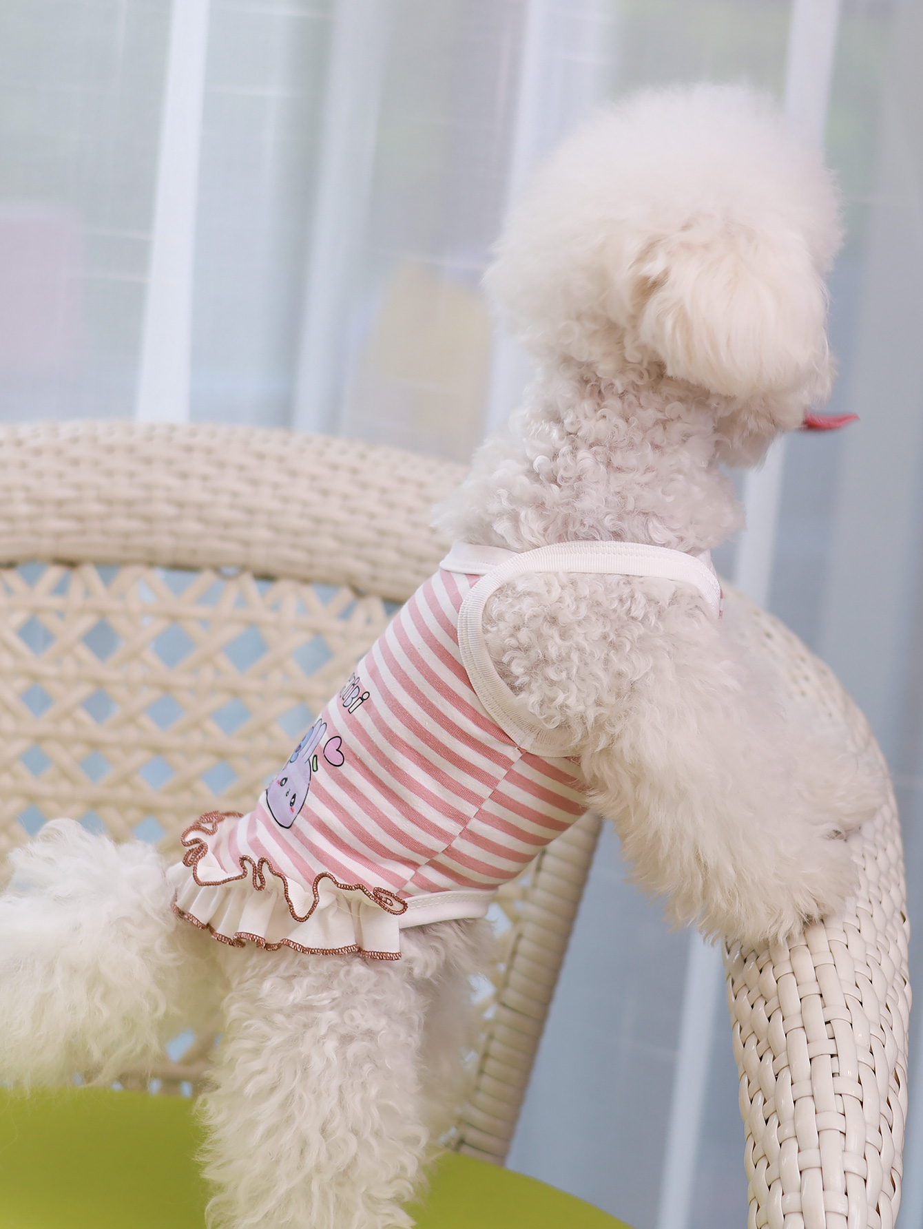 Dog vest, summer breathable th - Summer Clothing Material のレビューと価格